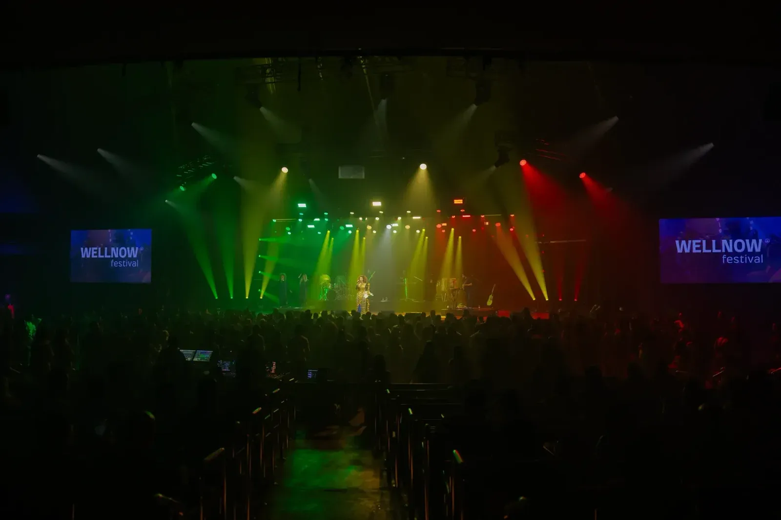 Stage and audience at the Wellnow Festival at Naturaltech 2026
